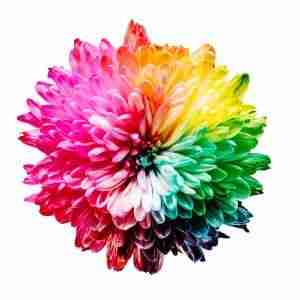 Website Page Colors